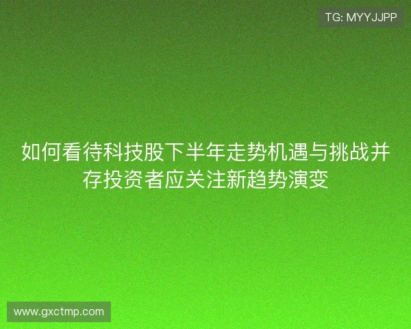 如何看待科技股下半年走势机遇与挑战并存投资者应关注新趋势演变
